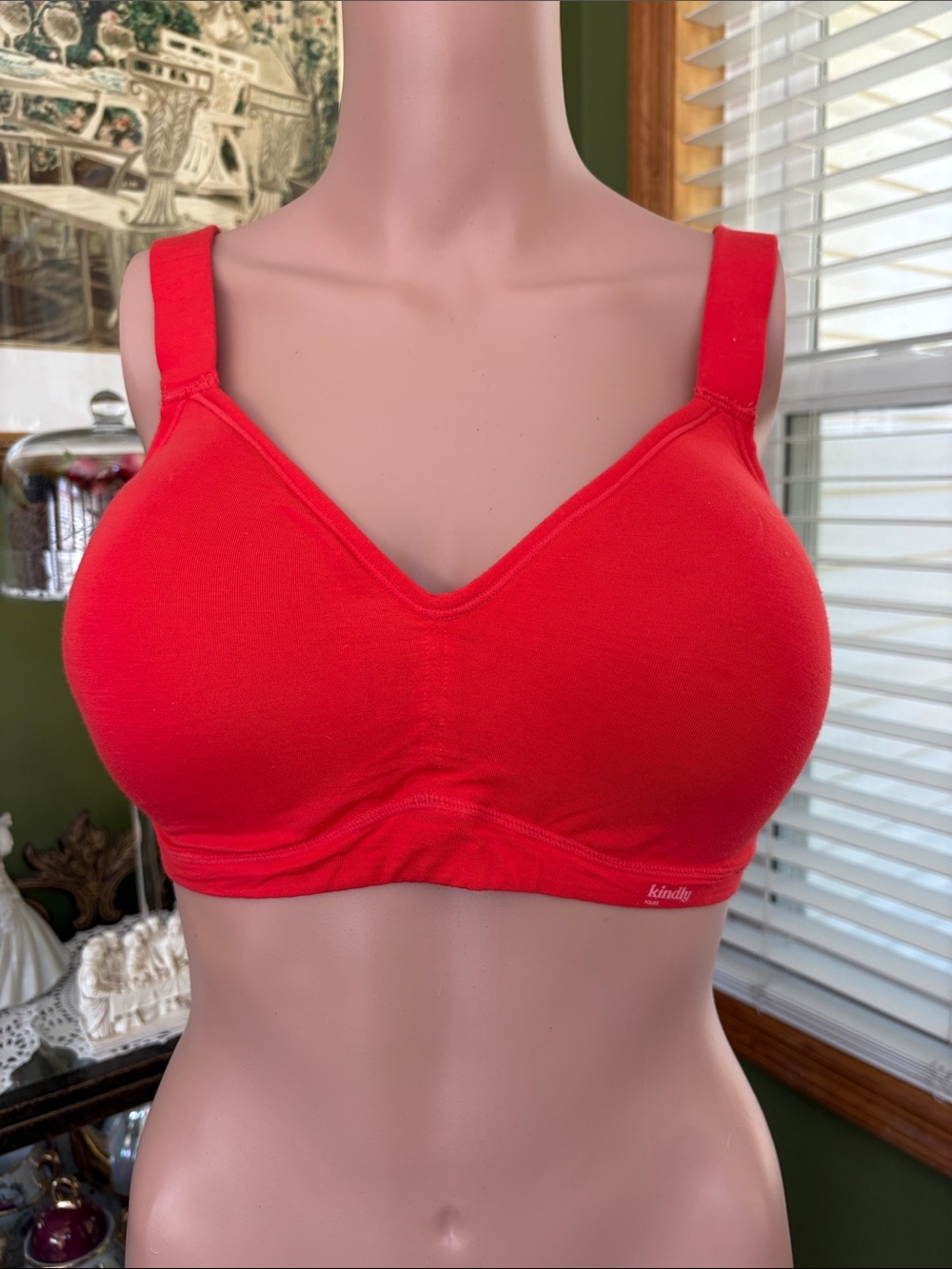 Kindly Red Seamless Comfort Wireless Bra